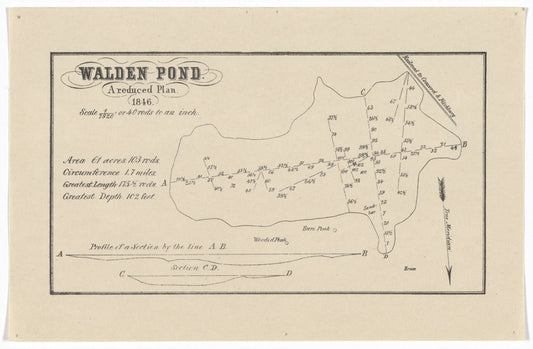 Walden Pond. A reduced plan. 1846. Original pencil map.