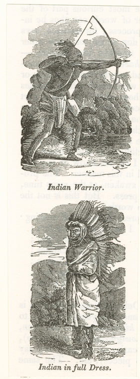 Indian warrior ; Indian in full dress