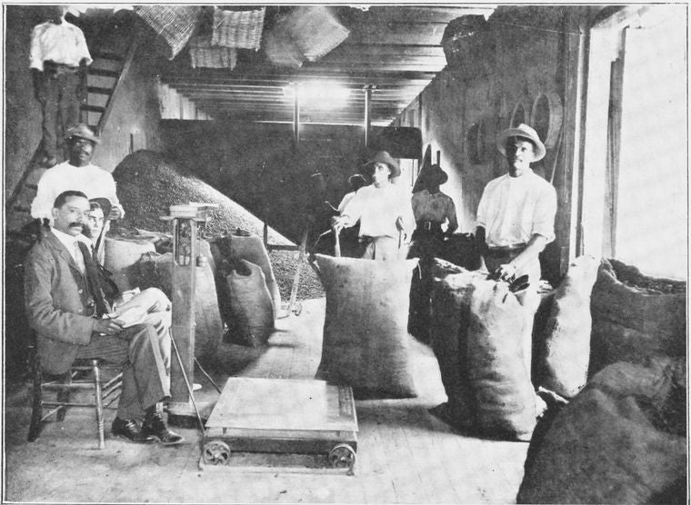 Cocoa department of the Bonanza.