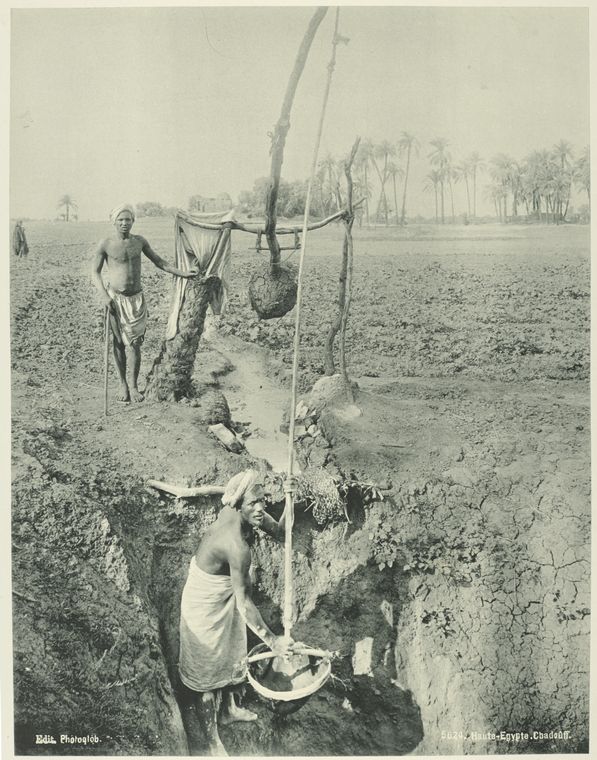 Haute-Egypte. Chadouff.