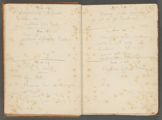 Diary entries