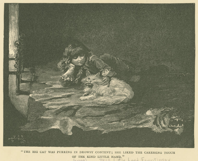"The big cat was purring in drowsy content; she liked the caressing touch of the kind little hand."