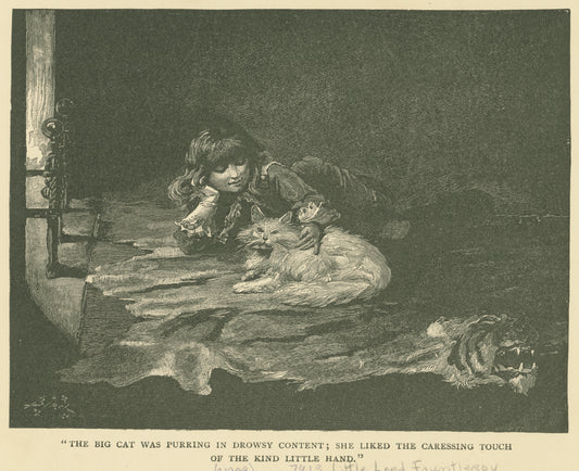"The big cat was purring in drowsy content; she liked the caressing touch of the kind little hand."