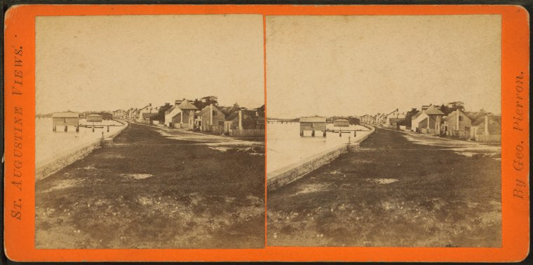 General view of the city. [St. Augustine].