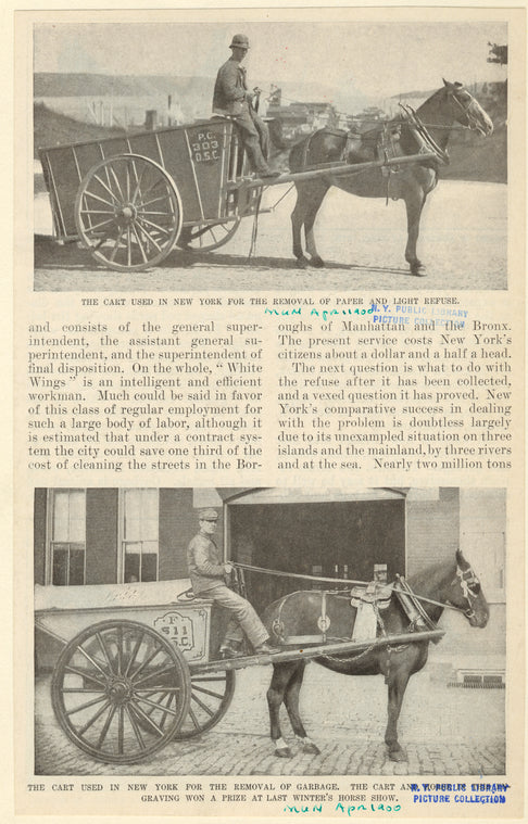The cart used in New York for the removal of paper and light refuse ; The cart used in New York for the removal of garbage