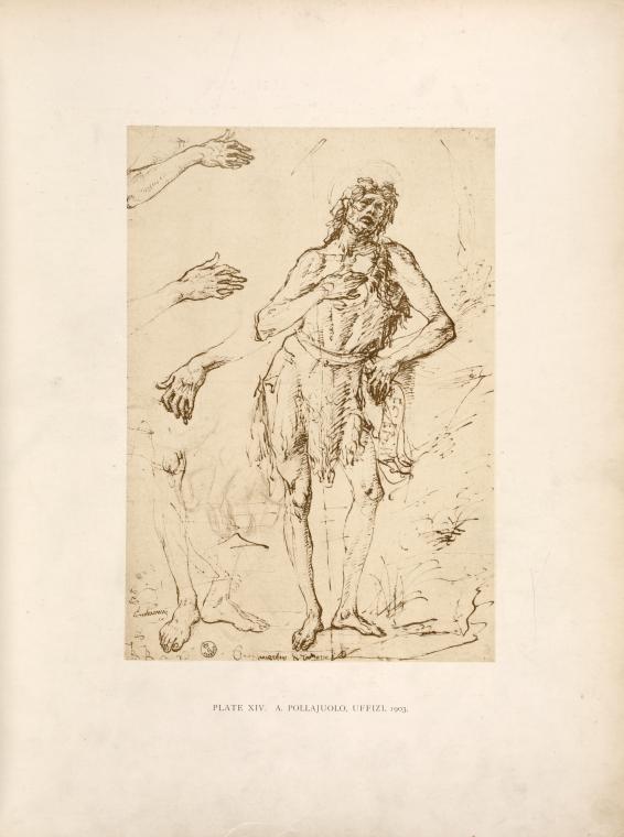 A. Pollajuolo, [sic] Uffizi, 1903. [Study of John the baptists, hands and feet.]