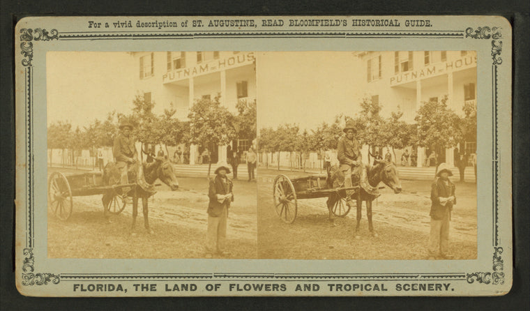 15th Amendment, or the Darkey's millenium: 40 acres of land and a mule.