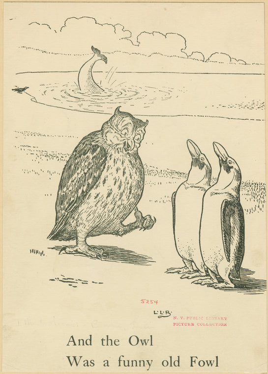 And the owl was a funny old fowl.