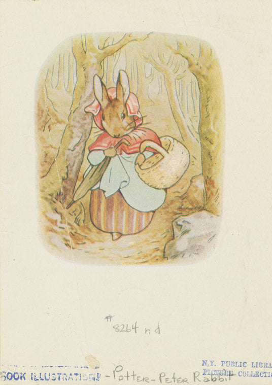 Old Mrs. Rabbit took a basket and her umbrella, and went through the wood to the baker's.