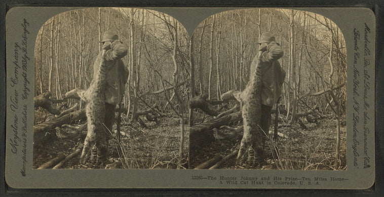 The hunter Johnny and his prize - ten miles home. A wild cat hunt in Colorado, U.S.A.