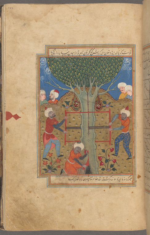Zakarîyâ (Zacharias), the father of  John the Baptist, is killed when the tree in which he is hiding is sawn in two