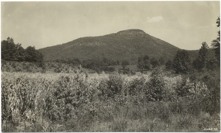 Yonah Mountain, Cherokee National Forest, Tenn.