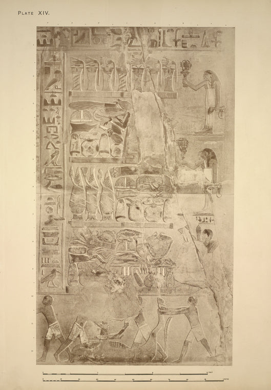 Offerings, musicians