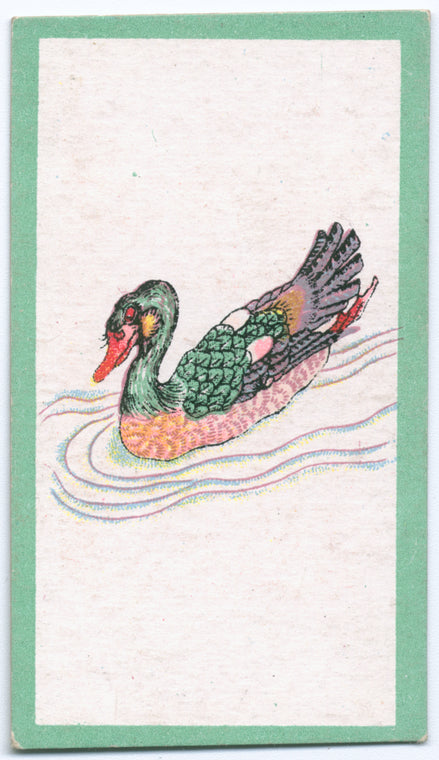 Birds of the East.