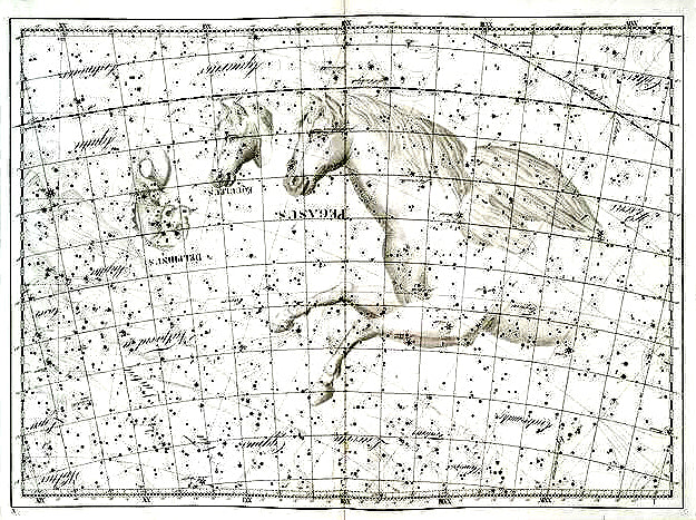 Delphinus, Equuleus, Pegasus.