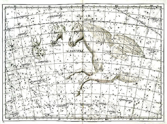 Delphinus, Equuleus, Pegasus.