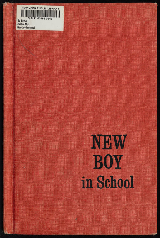 New Boy in School