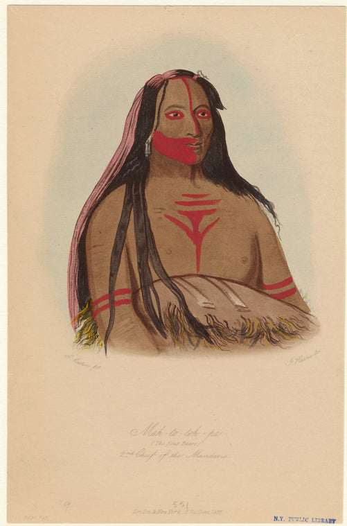 Mah-to-toh-pa (The Four Bears) : 2nd chief of the Mandans