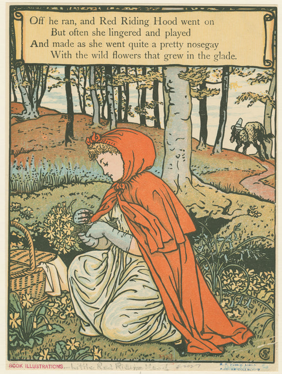 Little Red Riding Hood picking flowers