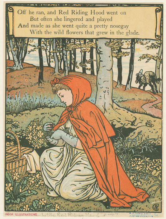 Little Red Riding Hood picking flowers