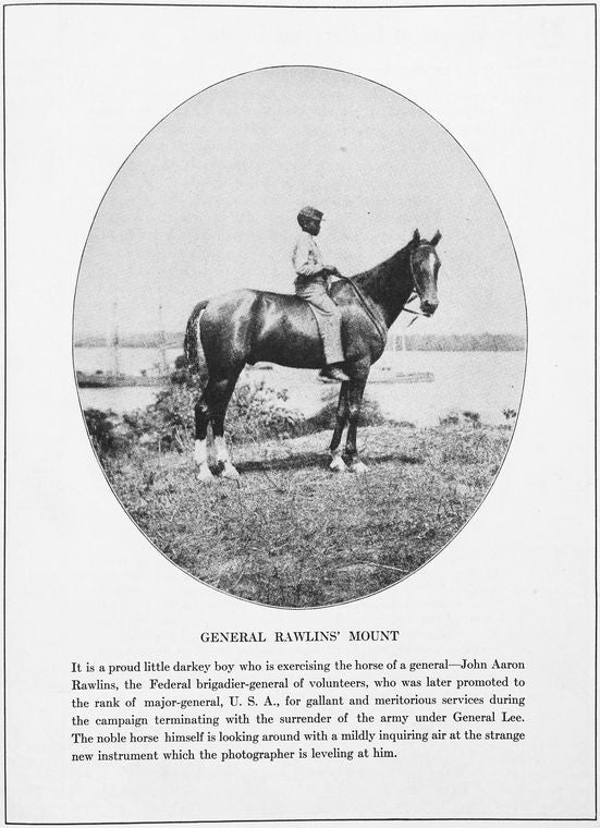 General Rawlin's mount.