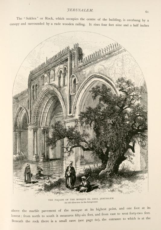 The façade of the Mosque el Aksa, Jerusalem, an old olive-tree in the foreground