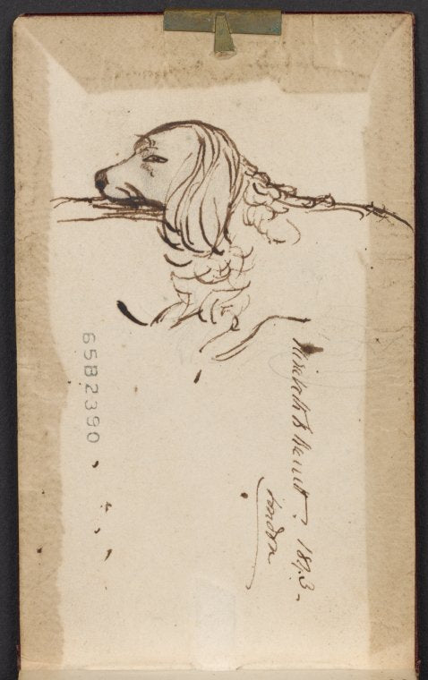 Original pencil sketch of Elizabeth Barrett Browning's dog, Flush.