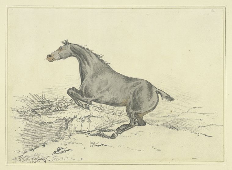 Jumping horse