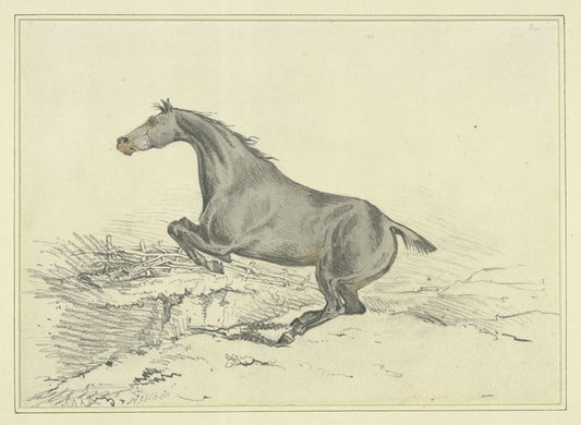 Jumping horse