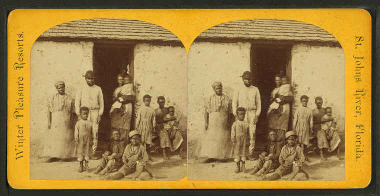 Negro quarters, Plantation, Fort George Island, Florida.