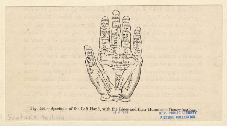 Specimen of the left hand, with the lines and their horoscopic denominations