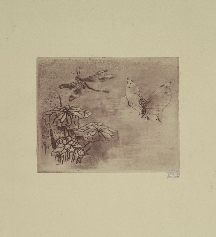 Ex-libris papillon et libellule.