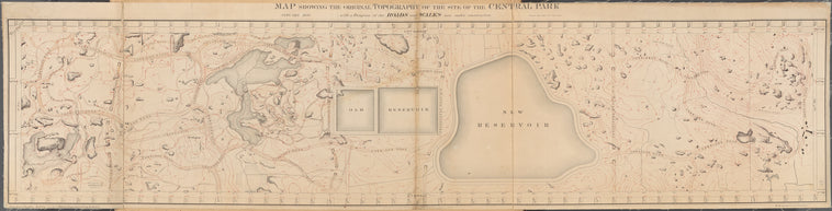 Map Showing the Original Topography of the Site of the Central Park with a Diagram of the Roads and Walks now under construction. January 1859