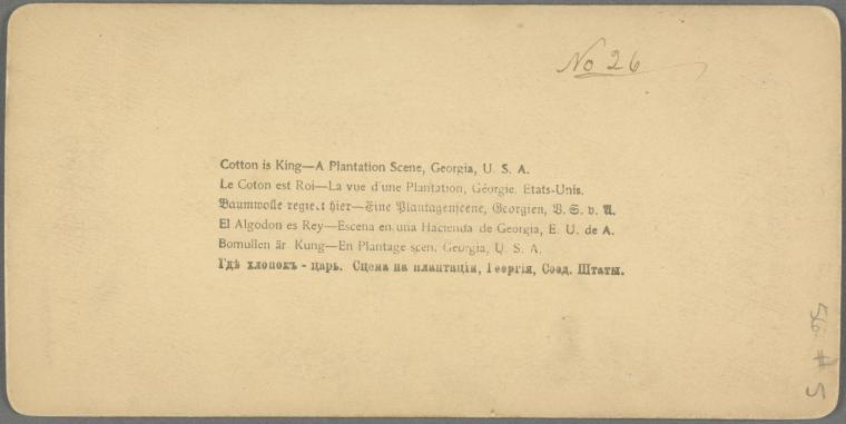 Cotton is King, Plantation Scene, Georgia, U. S. A.