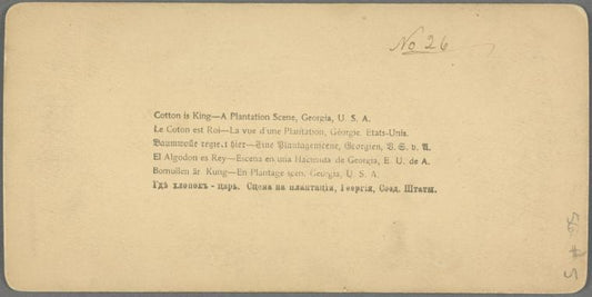 Cotton is King, Plantation Scene, Georgia, U. S. A.