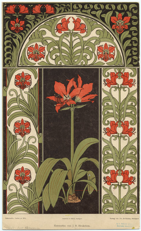 Amaryllis