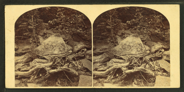 The hillsides of the Tohicon, Point Pleasant, Bucks County, Pa.