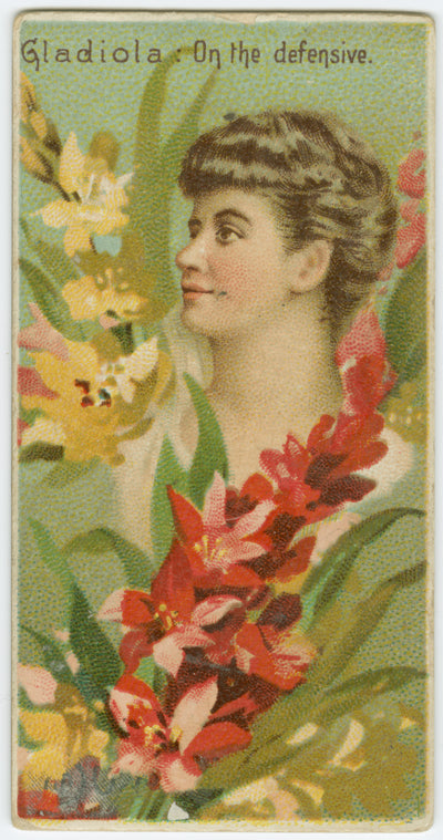 Gladiola, on the defensive.