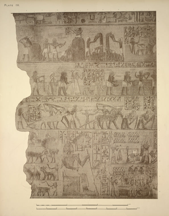 [Agricultural scenes: threshing and winnowing corn, the harvest]; Receipt of gold.