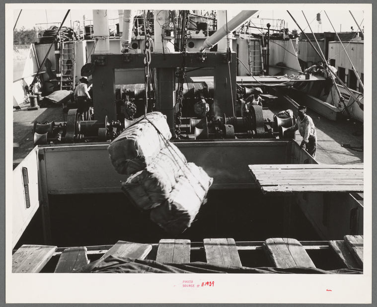 Loading cotton into hold of ship. Port of Houston, Texas