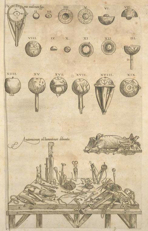 Anatomicorum instrumentorum delineatio [Various medical apparatuses]