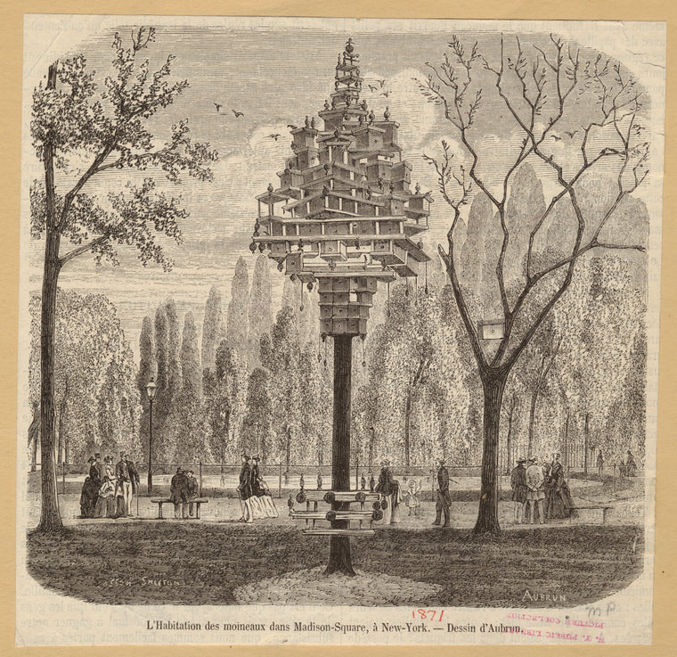 L'habitation des moineaux dans Madison-Square, à New York
