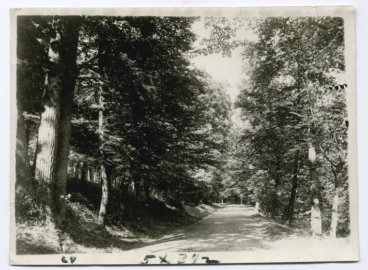 American Essayist and Short Story Writer, The road at Sleepy Hollow
