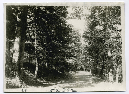American Essayist and Short Story Writer, The road at Sleepy Hollow