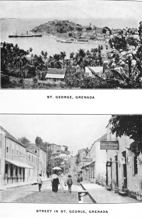 St. George, Grenada. ; Street in St. George, Grenada.