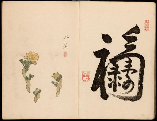 Adonis plant  Nampo. Composite character for ‘Long life’, ‘Wealth’   and ‘Happiness’