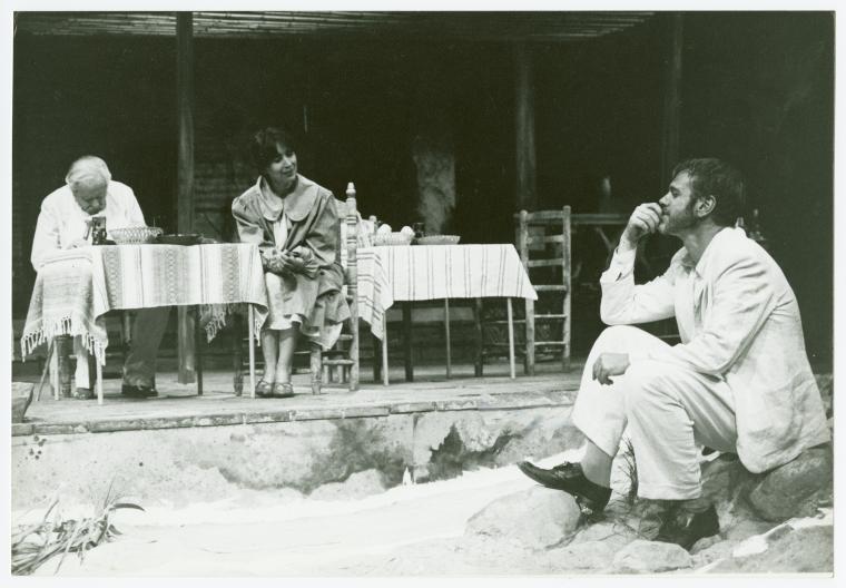 William LeMassena, Maria Tucci, and Nicolas Surovy in the stage production The Night of the Iguana