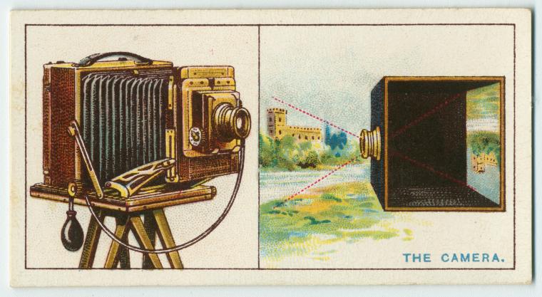 The camera.