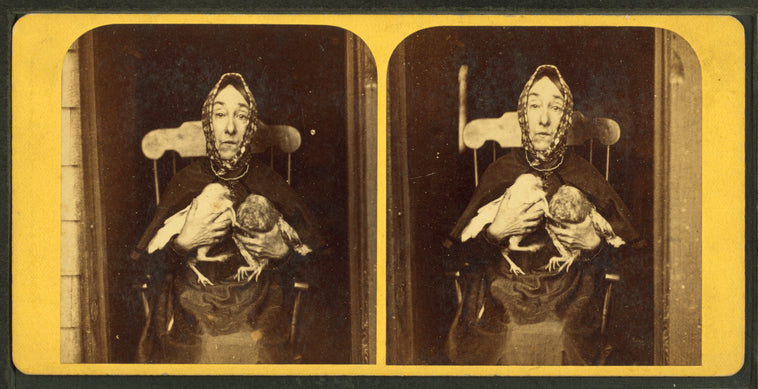 Portrait of Nancy Luce, island eccentric, and her bantie hens.