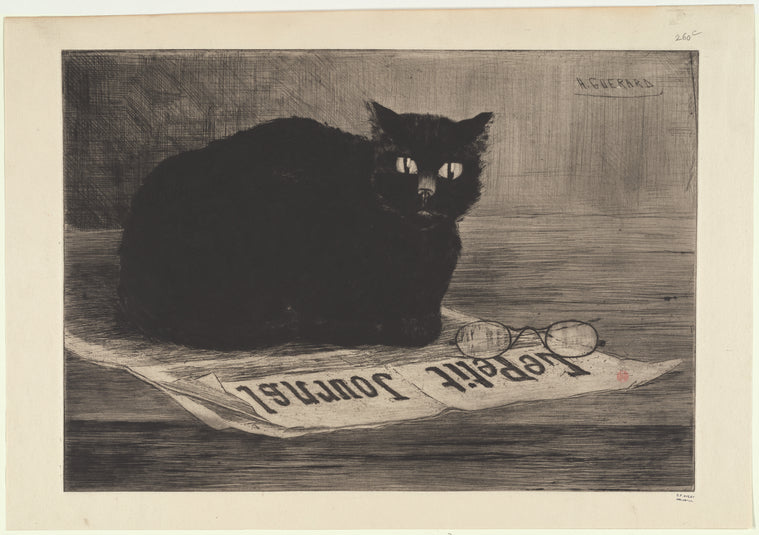 Chat noir sur un journal